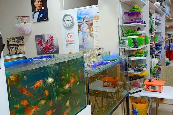 Alaşehir Çağdaş Petshop - Resim 16