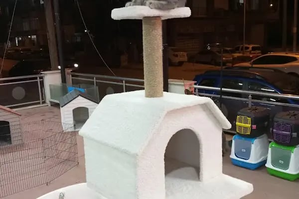 Alaşehir Çağdaş Petshop - Resim 20