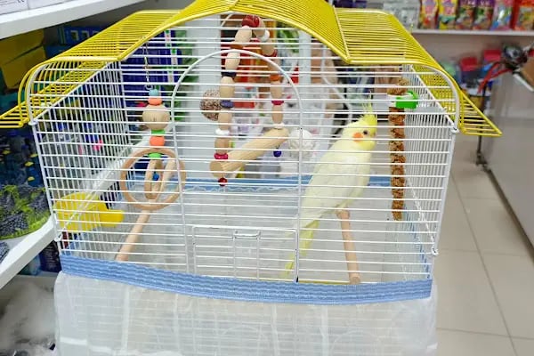 Alaşehir Çağdaş Petshop - Resim 13
