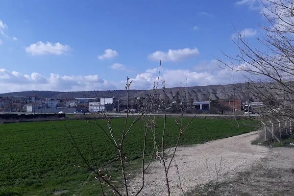 Ayvaşık KümeEvler - Resim 3