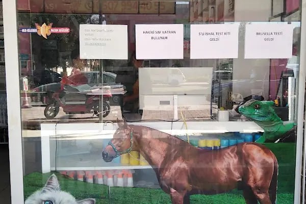 Mega Veteriner Kliniği - Resim 5