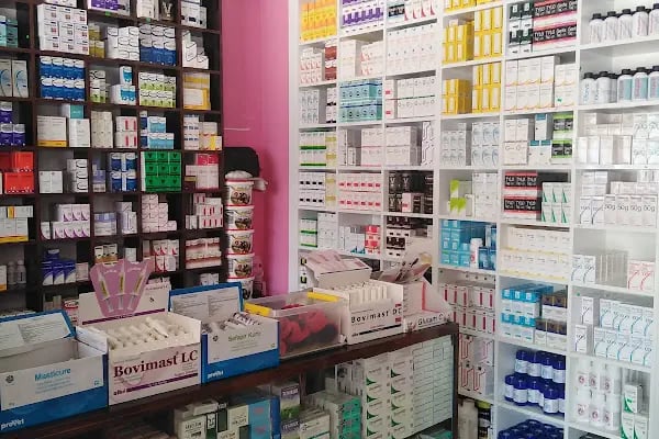 Mega Veteriner Kliniği - Resim 3