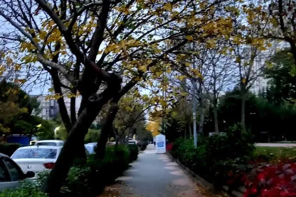 Ataşehir Belediyesi 8 Mart Kadın Eli Parkı - Resim 18
