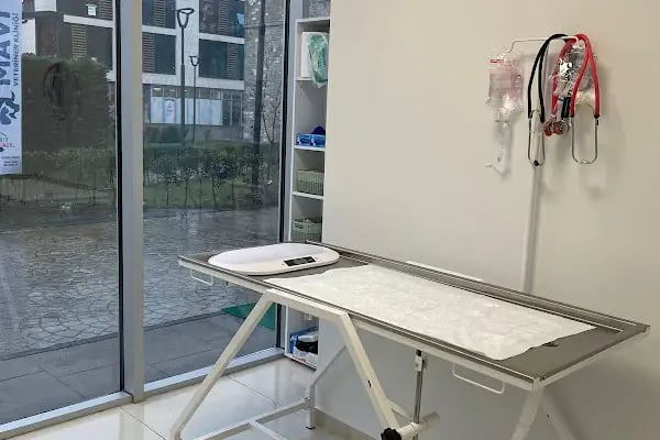 Mavi Veteriner Kliniği - Resim 4
