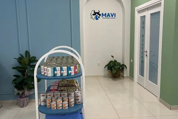 Mavi Veteriner Kliniği - Resim 10