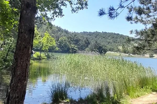 Gürsu Adrenalin Park Gölü - Resim 7