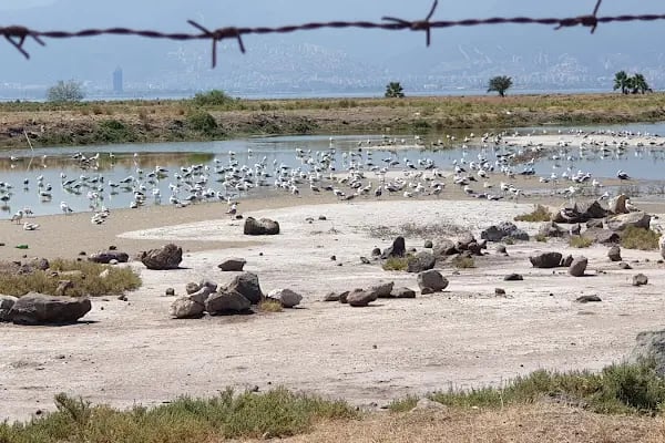 Mavişehir Sasalı Bisiklet Parkuru - Resim 10