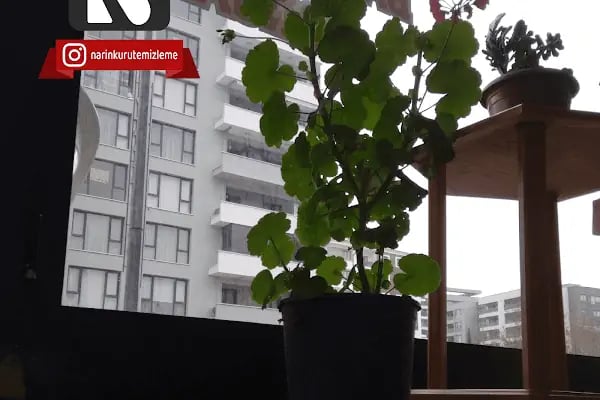 Narin Kuru Temizleme - Resim 8