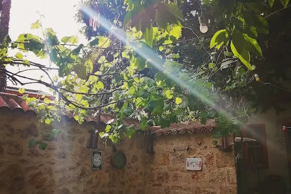 Kuyu Beergarden - Resim 8