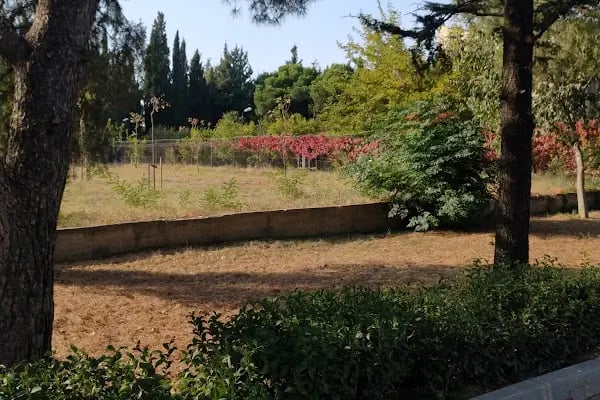Bursa Teknik Üniversitesi - Resim 17