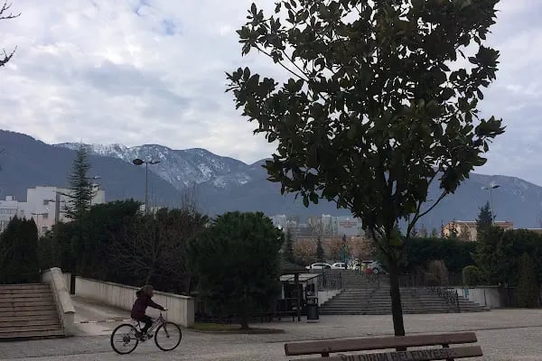 Bursa Teknik Üniversitesi - Resim 14