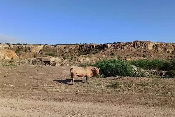 Gala Gölü Milli Parkı - Resim 13