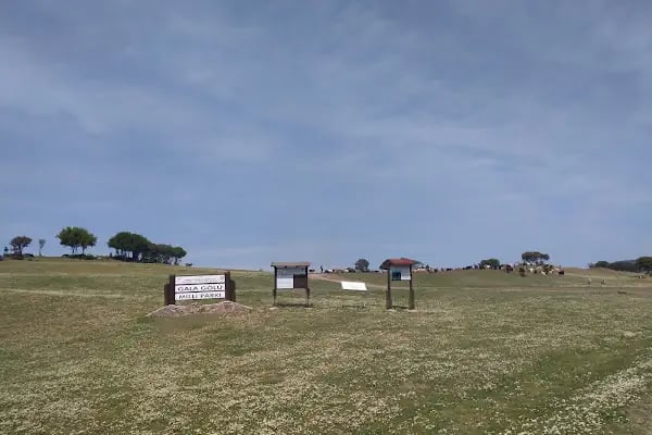 Gala Gölü Milli Parkı - Resim 14