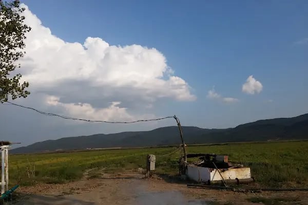 Gala Gölü Milli Parkı - Resim 16