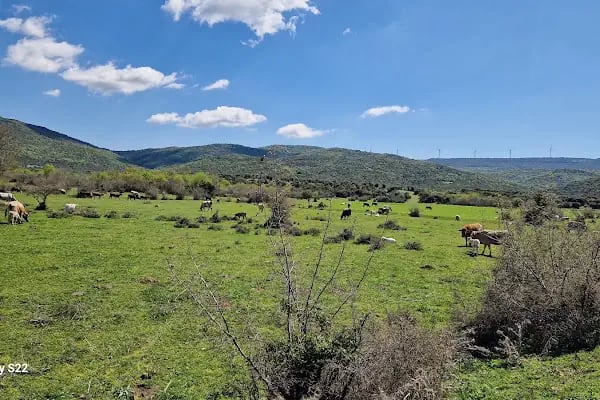 Gala Gölü Milli Parkı - Resim 6