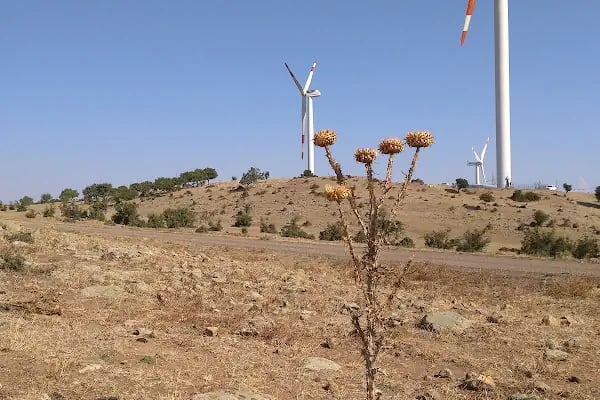 Gala Gölü Milli Parkı - Resim 19