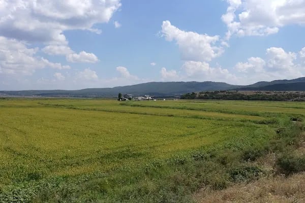 Gala Gölü Milli Parkı - Resim 9
