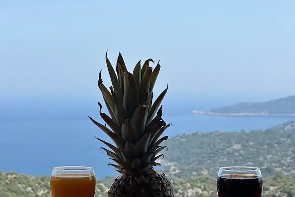 Istlada Taş Ev Apart Demre Kekova Kapaklı ( Kekova Adası Manzaralı) - Resim 14