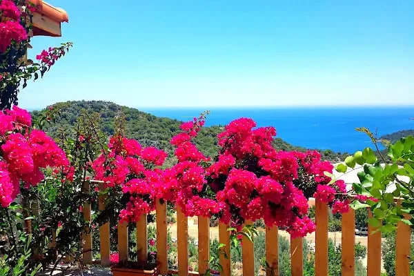 Istlada Taş Ev Apart Demre Kekova Kapaklı ( Kekova Adası Manzaralı) - Resim 11