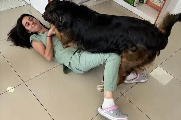 Petrium Veteriner Kliniği - Resim 5