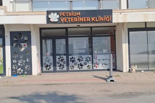 Petrium Veteriner Kliniği - Resim 10