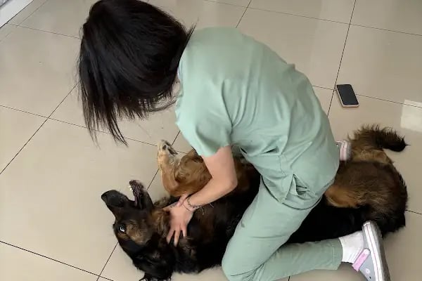 Petrium Veteriner Kliniği - Resim 2