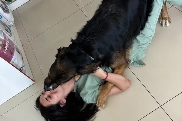 Petrium Veteriner Kliniği - Resim 7