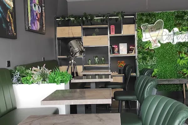 CAFECO - Resim 12