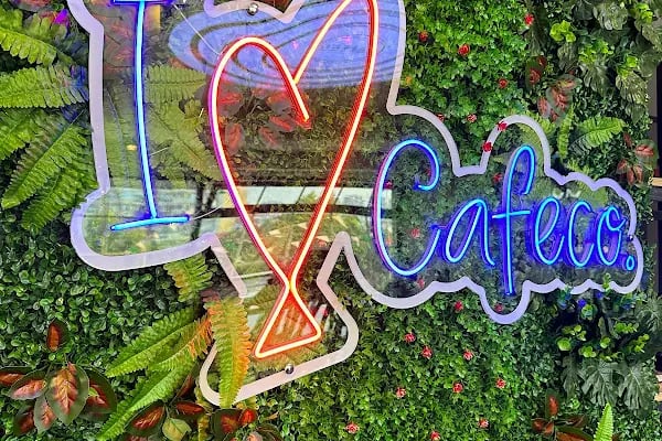 CAFECO - Resim 15
