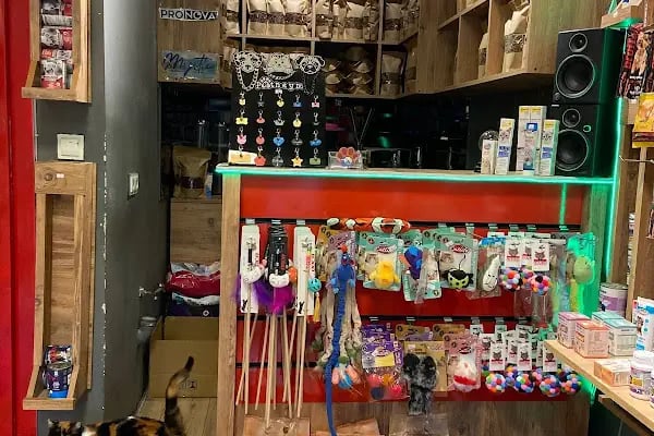 Can Petshop - Resim 4