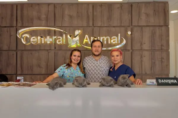 Central Animal Bornova Veteriner Polikliniği - Resim 5