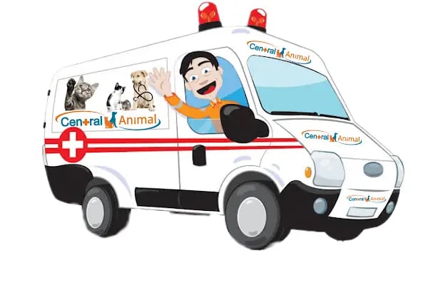 Central Animal Bornova Veteriner Polikliniği - Resim 13