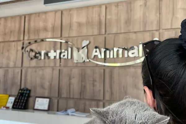 Central Animal Bornova Veteriner Polikliniği - Resim 20
