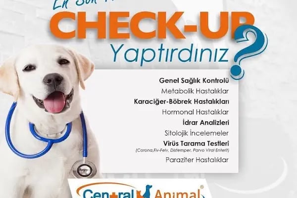 Central Animal Bornova Veteriner Polikliniği - Resim 16