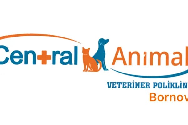 Central Animal Bornova Veteriner Polikliniği - Resim 18