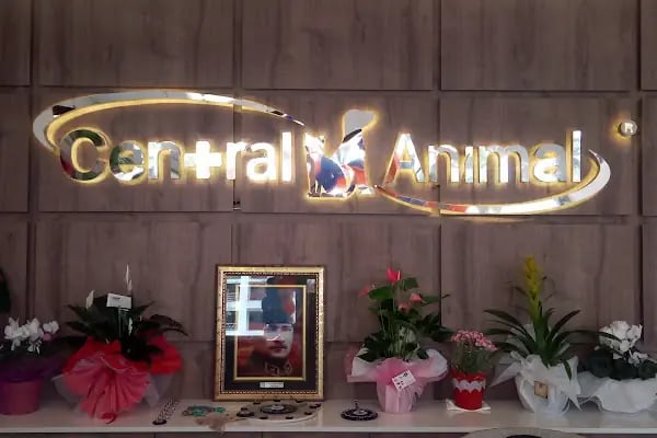 Central Animal Bornova Veteriner Polikliniği - Resim 3