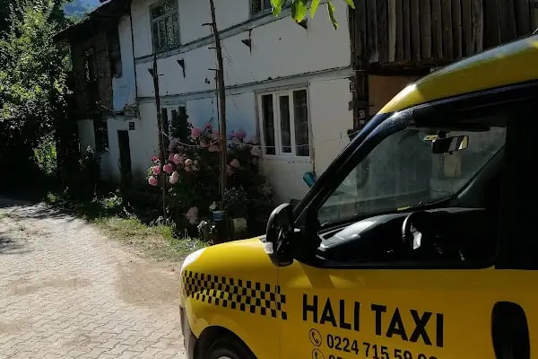 İnegöl Damla Hali Yikama - Resim 10