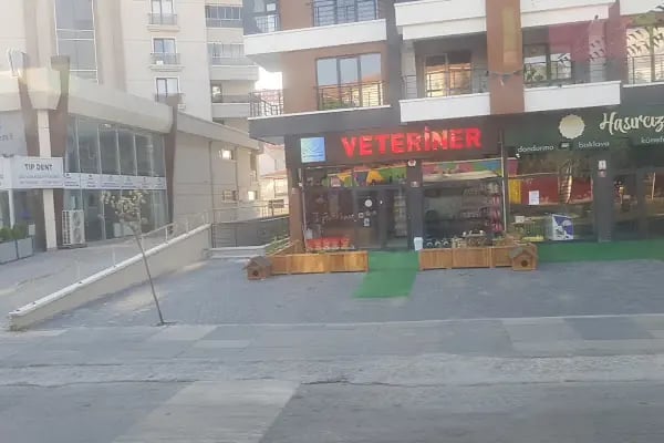 Pati Pursaklar Veteriner Kliniği - Resim 8