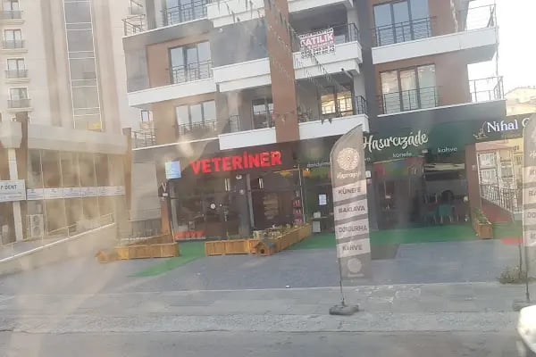 Pati Pursaklar Veteriner Kliniği - Resim 18