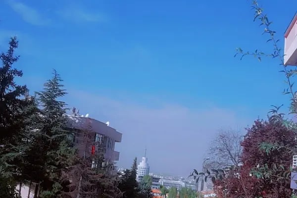 Nijerya Büyükelçiliği - Resim 9