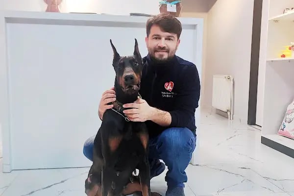 Denizli ALBAYRAK VETERİNER KLİNİĞİ VE HAYVAN SAĞLIĞI MERKEZİ - Resim 5