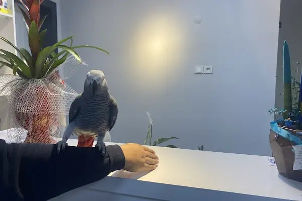 Denizli ALBAYRAK VETERİNER KLİNİĞİ VE HAYVAN SAĞLIĞI MERKEZİ - Resim 14