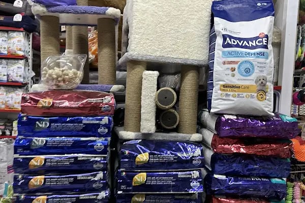 Bosna Mavi petshop - Resim 5