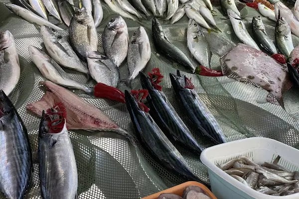 Morkoç balık kebab restoran - Resim 13