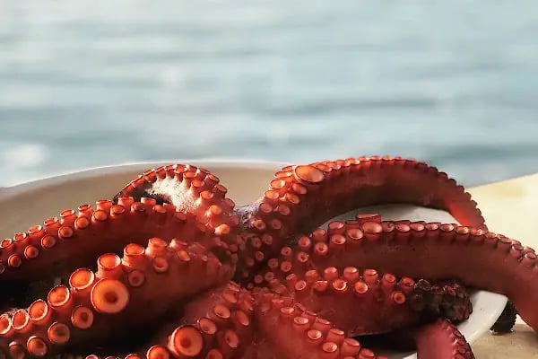Güneş Restaurant - Resim 3