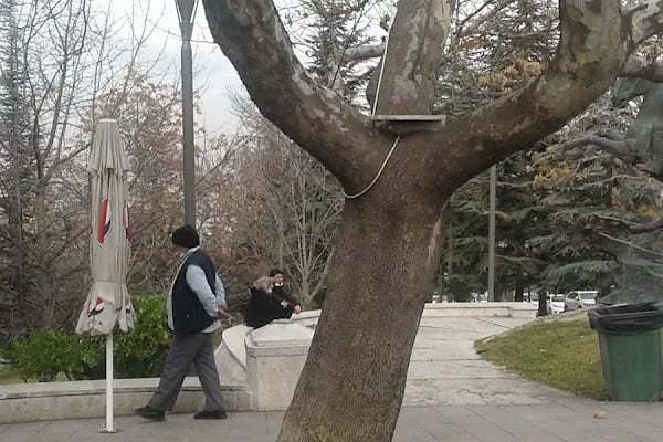 Irak Büyükelçiliği - Resim 15