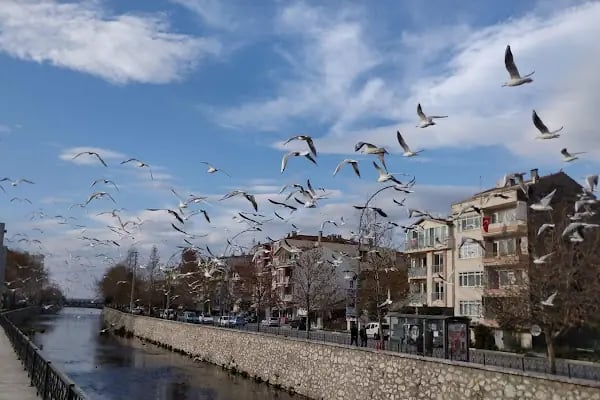 Gemlik Otogarı - Resim 9