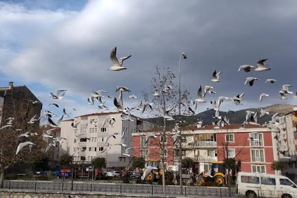 Gemlik Otogarı - Resim 16