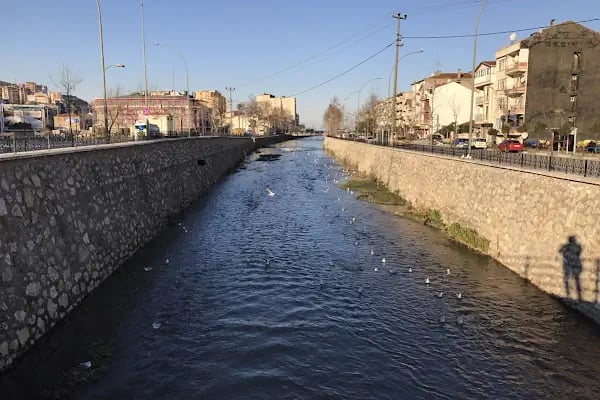 Gemlik Otogarı - Resim 2