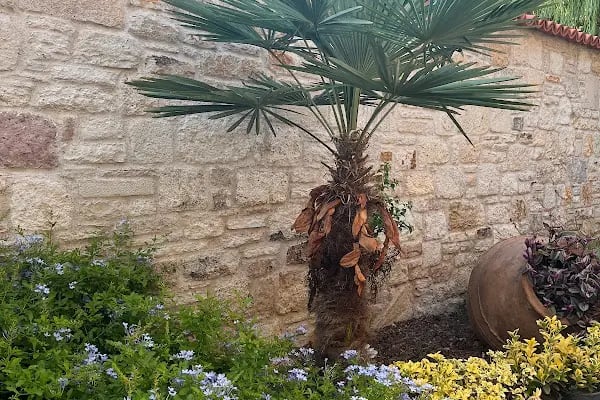 Griffon Boutique Hotel - Resim 14
